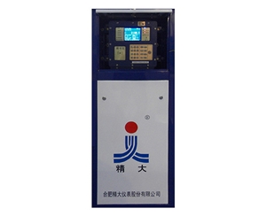 防爆定值控制仪-柜式安装